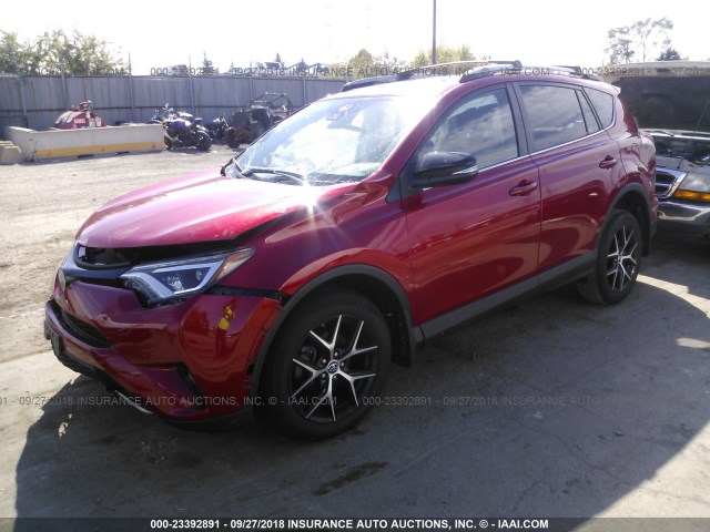 2T3JFREV5HW589906 - 2017 TOYOTA RAV4 SE RED photo 2