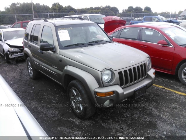 1J8GL58K04W119946 - 2004 JEEP LIBERTY LIMITED GOLD photo 1