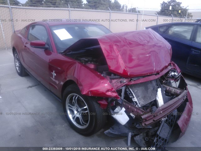 1ZVBP8AM3C5256934 - 2012 FORD MUSTANG Qırmızı foto 1