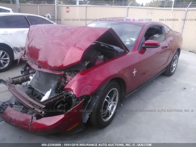 1ZVBP8AM3C5256934 - 2012 FORD MUSTANG Qırmızı foto 2