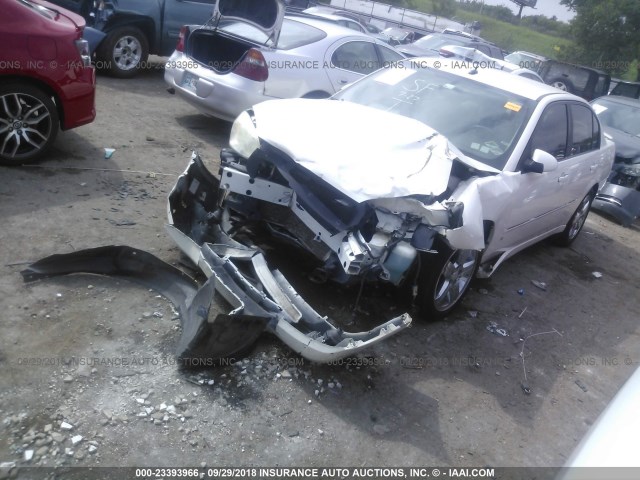 1G1ZU53806F303272 - 2006 CHEVROLET MALIBU LTZ 白色 照片 2