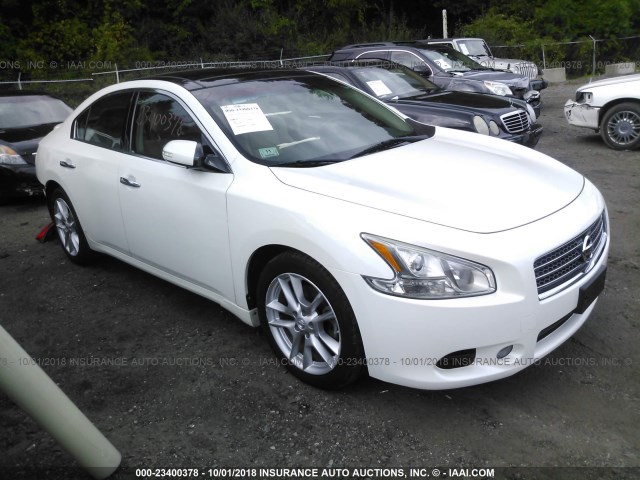 1N4AA5AP7BC862777 - 2011 NISSAN MAXIMA S/SV WHITE photo 1