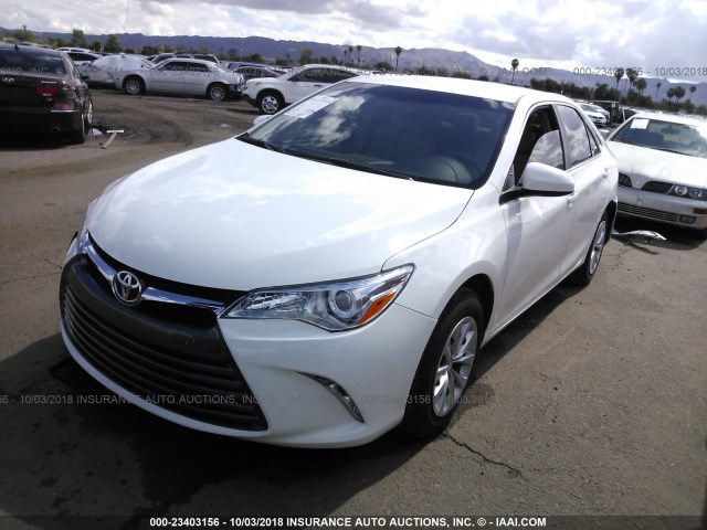 4T4BF1FK4GR545869 - 2016 TOYOTA CAMRY LE/XLE/SE/XSE WHITE photo 2