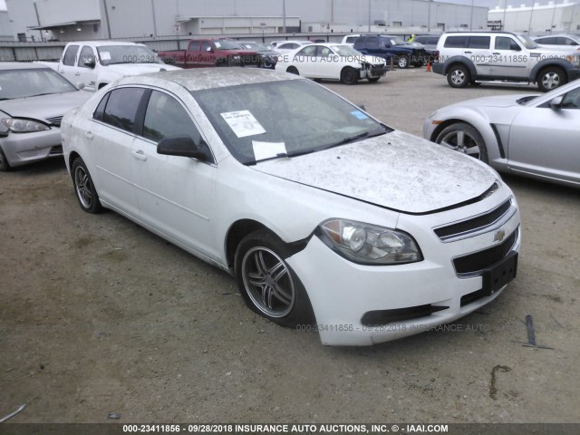 1G1ZB5E02CF202050 - 2012 CHEVROLET MALIBU LS 白色 照片 1