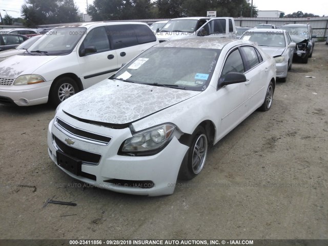 1G1ZB5E02CF202050 - 2012 CHEVROLET MALIBU LS 白色 照片 2