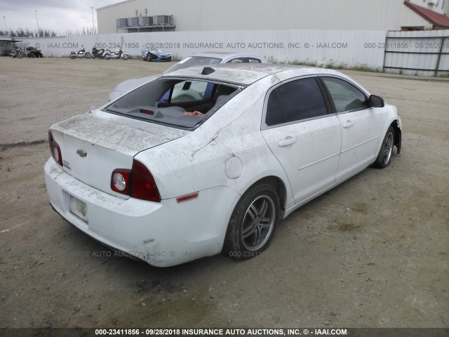 1G1ZB5E02CF202050 - 2012 CHEVROLET MALIBU LS 白色 照片 4
