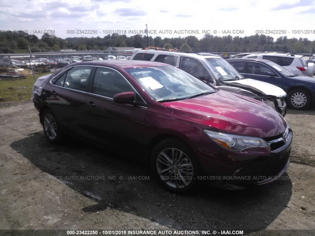 4T1BF1FK2HU807559 - 2017 TOYOTA CAMRY LE/XLE/SE/XSE BURGUNDY photo 1