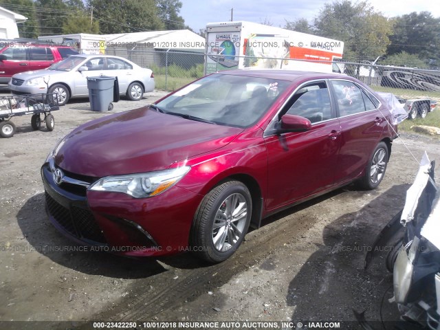 4T1BF1FK2HU807559 - 2017 TOYOTA CAMRY LE/XLE/SE/XSE BURGUNDY photo 2