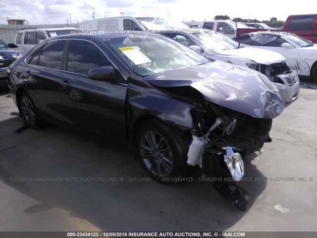 4T1BF1FK4FU886259 - 2015 TOYOTA CAMRY LE/XLE/SE/XSE GRAY photo 1