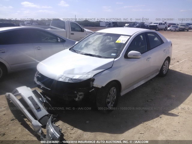 KNAFU4A25C5642630 - 2012 KIA FORTE EX WHITE photo 2