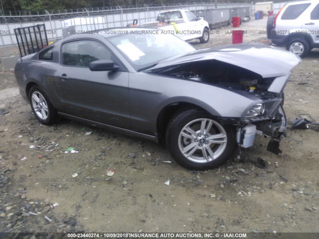 1ZVBP8AM0D5280870 - 2013 FORD MUSTANG GRAY photo 1