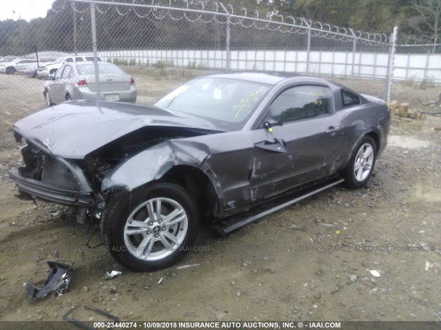 1ZVBP8AM0D5280870 - 2013 FORD MUSTANG GRAY photo 2
