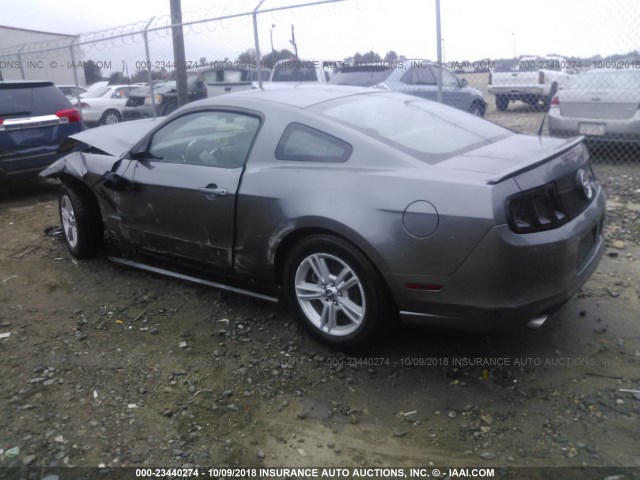 1ZVBP8AM0D5280870 - 2013 FORD MUSTANG GRAY photo 3