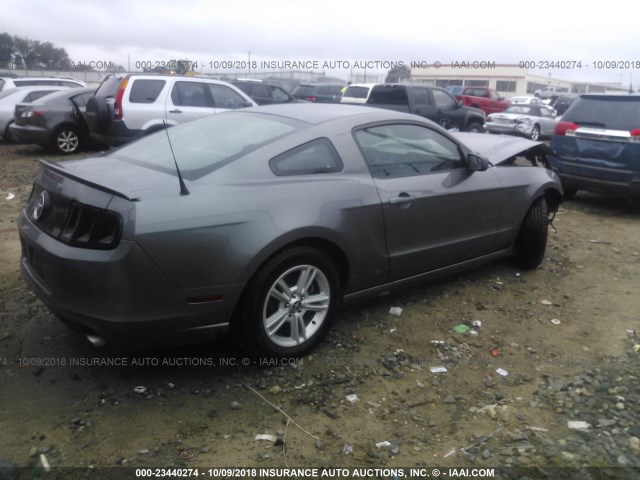 1ZVBP8AM0D5280870 - 2013 FORD MUSTANG GRAY photo 4