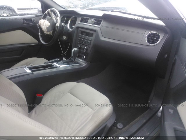 1ZVBP8AM0D5280870 - 2013 FORD MUSTANG GRAY photo 5