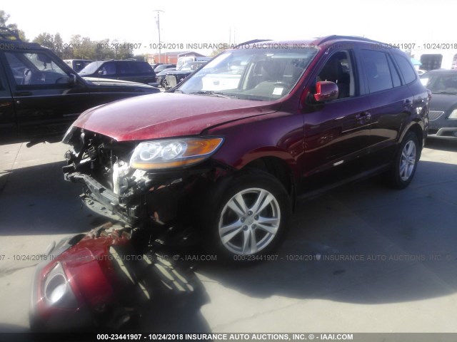 5XYZH4AG8BG060317 - 2011 HYUNDAI SANTA FE SE RED photo 2