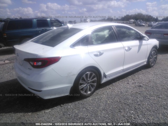 5NPE34AF8GH308893 - 2016 HYUNDAI SONATA SPORT/LIMITED WHITE photo 4