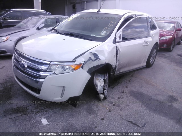 2FMDK3JC7DBB69163 - 2013 FORD EDGE SEL WHITE photo 6