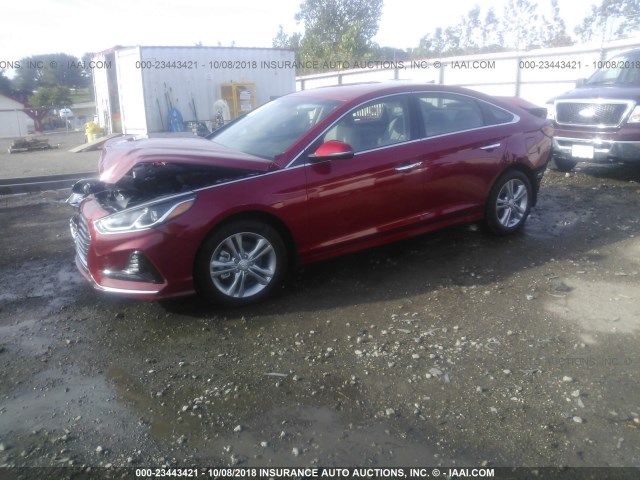 5NPE34AF7JH658622 - 2018 HYUNDAI SONATA SPORT/LIMITED RED photo 2