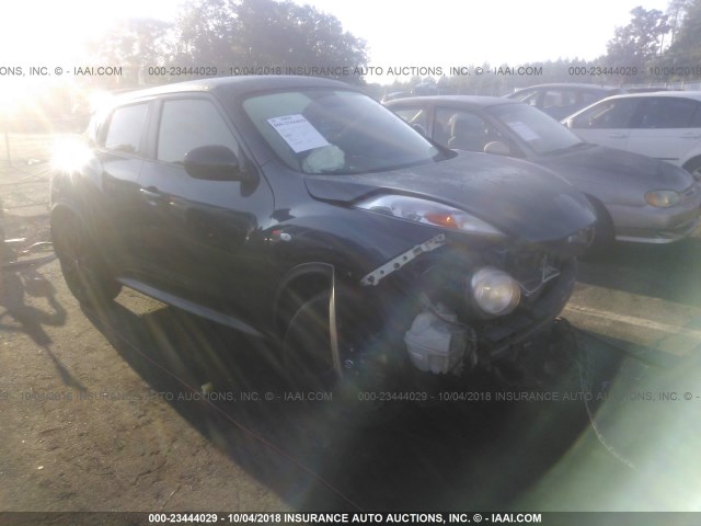 JN8AF5MR9DT202143 - 2013 NISSAN JUKE S/SV/SL GRAY photo 1