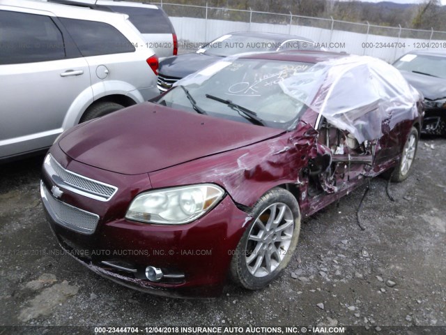 1G1ZK57708F231127 - 2008 CHEVROLET MALIBU LTZ 勃艮第红 照片 2