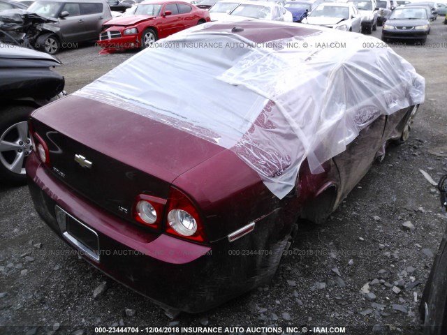 1G1ZK57708F231127 - 2008 CHEVROLET MALIBU LTZ 勃艮第红 照片 4