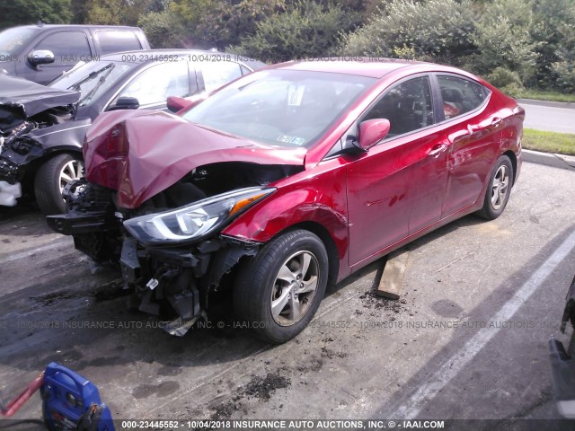 5NPDH4AE4FH588248 - 2015 HYUNDAI ELANTRA SE/SPORT/LIMITED MAROON photo 2