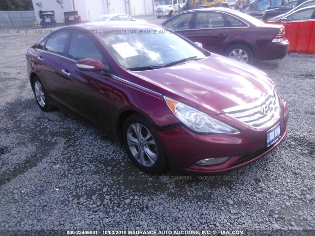 5NPEC4AC3DH642153 - 2013 HYUNDAI SONATA SE/LIMITED RED photo 1