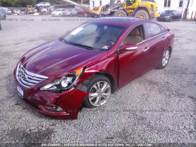 5NPEC4AC3DH642153 - 2013 HYUNDAI SONATA SE/LIMITED RED photo 2