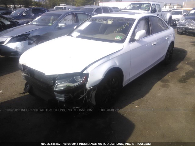 WAUFFAFL8AN007814 - 2010 AUDI A4 PREMIUM PLUS WHITE photo 2