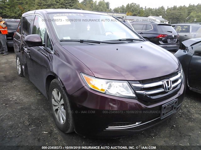 5FNRL5H69EB137242 - 2014 HONDA ODYSSEY EXL MAROON photo 1