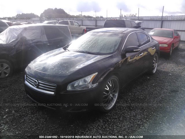 1N4AA5AP1EC456031 - 2014 NISSAN MAXIMA S/SV BLACK photo 2