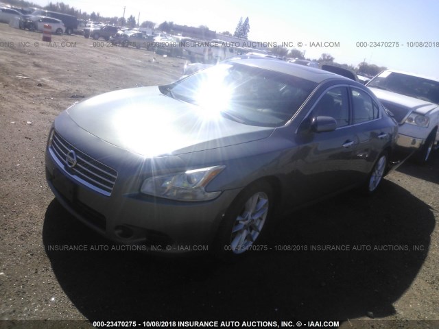 1N4AA51EX9C828390 - 2009 NISSAN MAXIMA S/SV GRAY photo 2