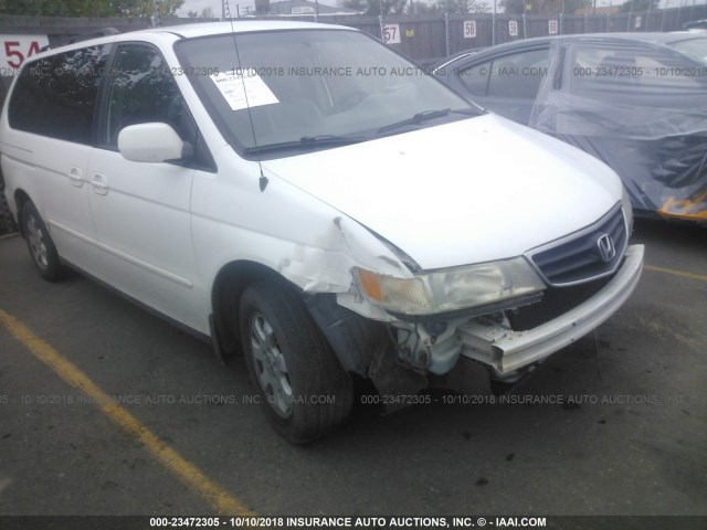 5FNRL18932B053626 - 2002 HONDA ODYSSEY EXL WHITE photo 6