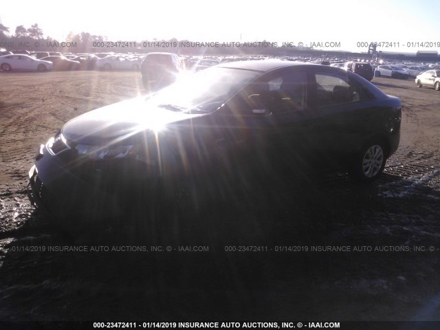 KNAFU4A23A5844198 - 2010 KIA FORTE EX BLACK photo 2