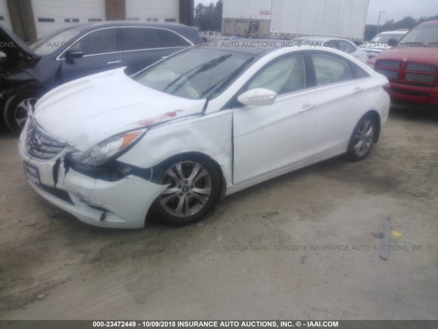 5NPEC4AC6DH670187 - 2013 HYUNDAI SONATA SE/LIMITED WHITE photo 2