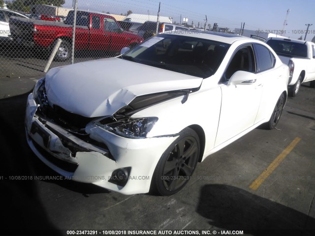 JTHBF5C22C5160887 - 2012 LEXUS IS 250 WHITE photo 2