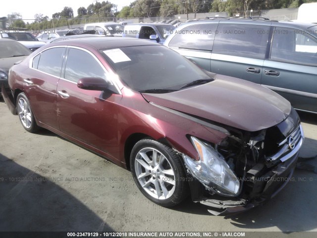 1N4AA5AP7DC824288 - 2013 NISSAN MAXIMA S/SV BURGUNDY photo 1