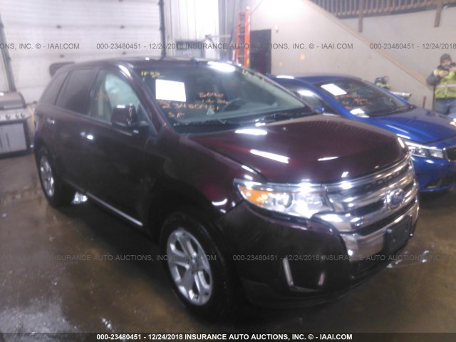 2FMDK4JC3BBA70844 - 2011 FORD EDGE SEL BURGUNDY photo 1