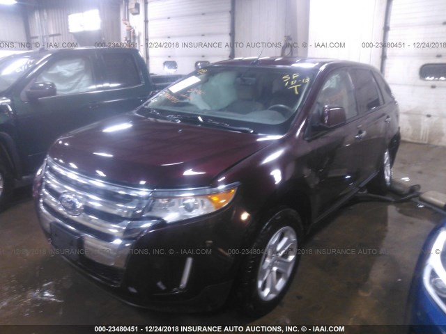 2FMDK4JC3BBA70844 - 2011 FORD EDGE SEL BURGUNDY photo 2