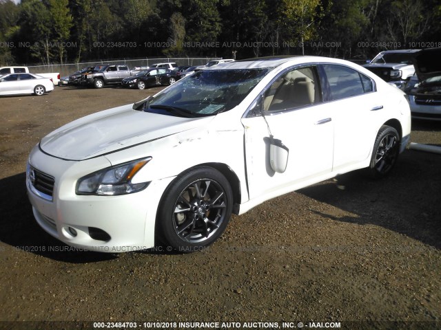 1N4AA5AP4EC480663 - 2014 NISSAN MAXIMA S/SV WHITE photo 2