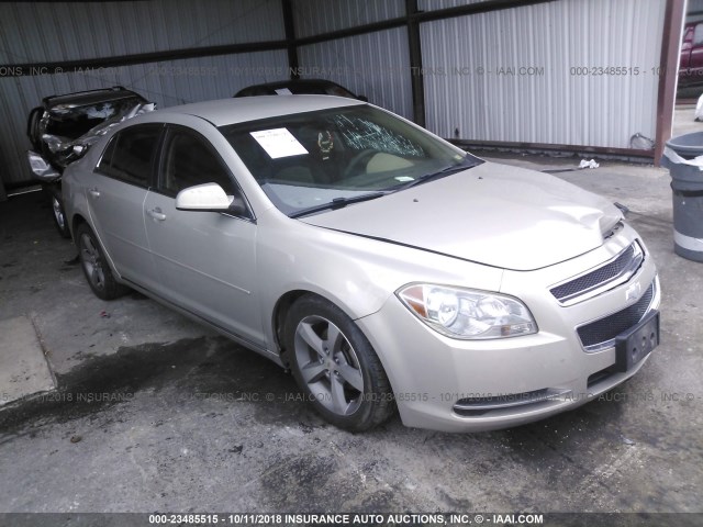 1G1ZC5E10BF259075 - 2011 CHEVROLET MALIBU 1LT GOLD photo 1