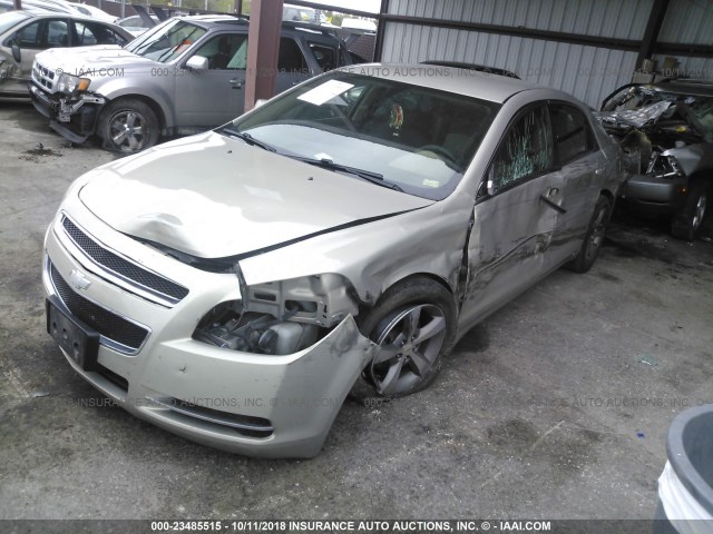 1G1ZC5E10BF259075 - 2011 CHEVROLET MALIBU 1LT GOLD photo 2