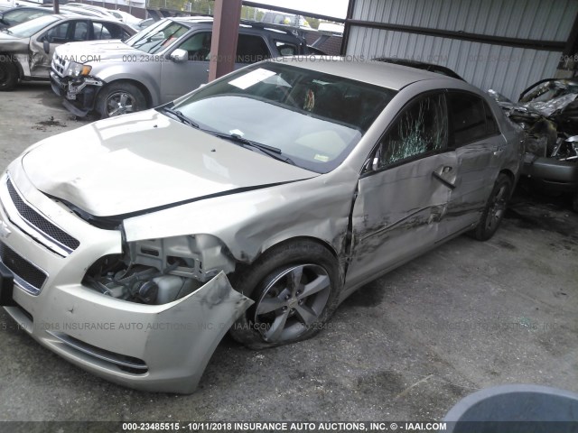 1G1ZC5E10BF259075 - 2011 CHEVROLET MALIBU 1LT GOLD photo 6
