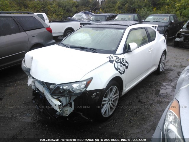 JTKJF5C73D3058531 - 2013 TOYOTA SCION TC თეთრი ფოტო 2