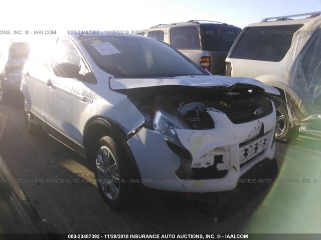 1FMCU0F71EUB09567 - 2014 FORD ESCAPE S WHITE photo 1