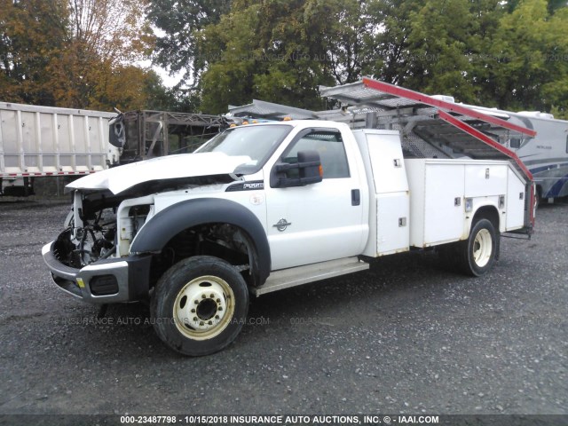 1FDUF5GT1CEC58883 - 2012 FORD F550 SUPER DUTY WHITE photo 2