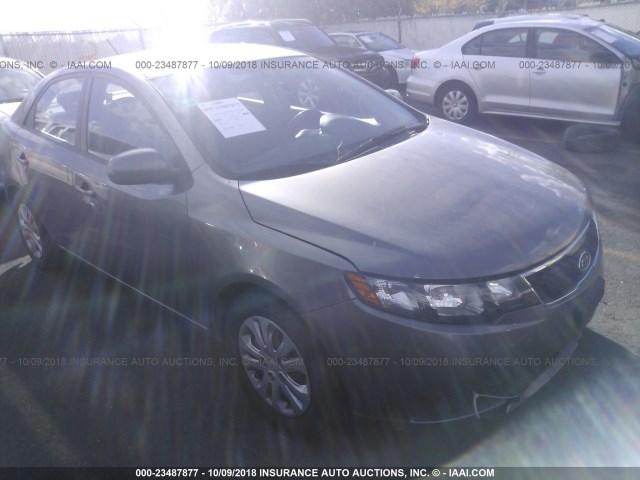 KNAFU4A27D5645689 - 2013 KIA FORTE EX SILVER photo 1