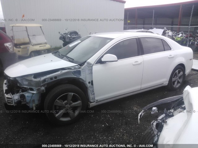 1G1ZJ57B69F164106 - 2009 CHEVROLET MALIBU 2LT WHITE photo 2