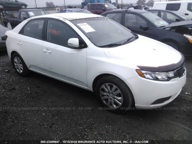 KNAFU4A2XD5662664 - 2013 KIA FORTE EX WHITE photo 1